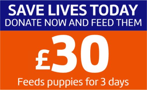 Donate 30 pounds option
