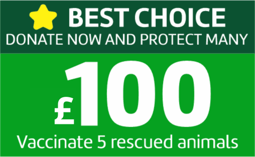 Donate 100 pounds option