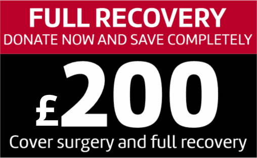 Donate 200 pounds option