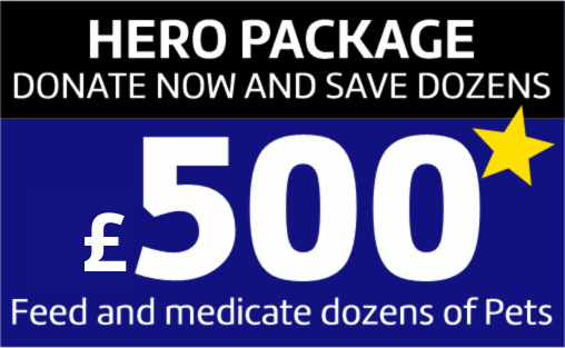 Donate 500 pounds option