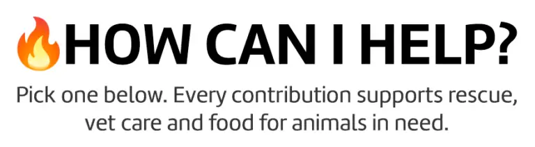 How can I help banner